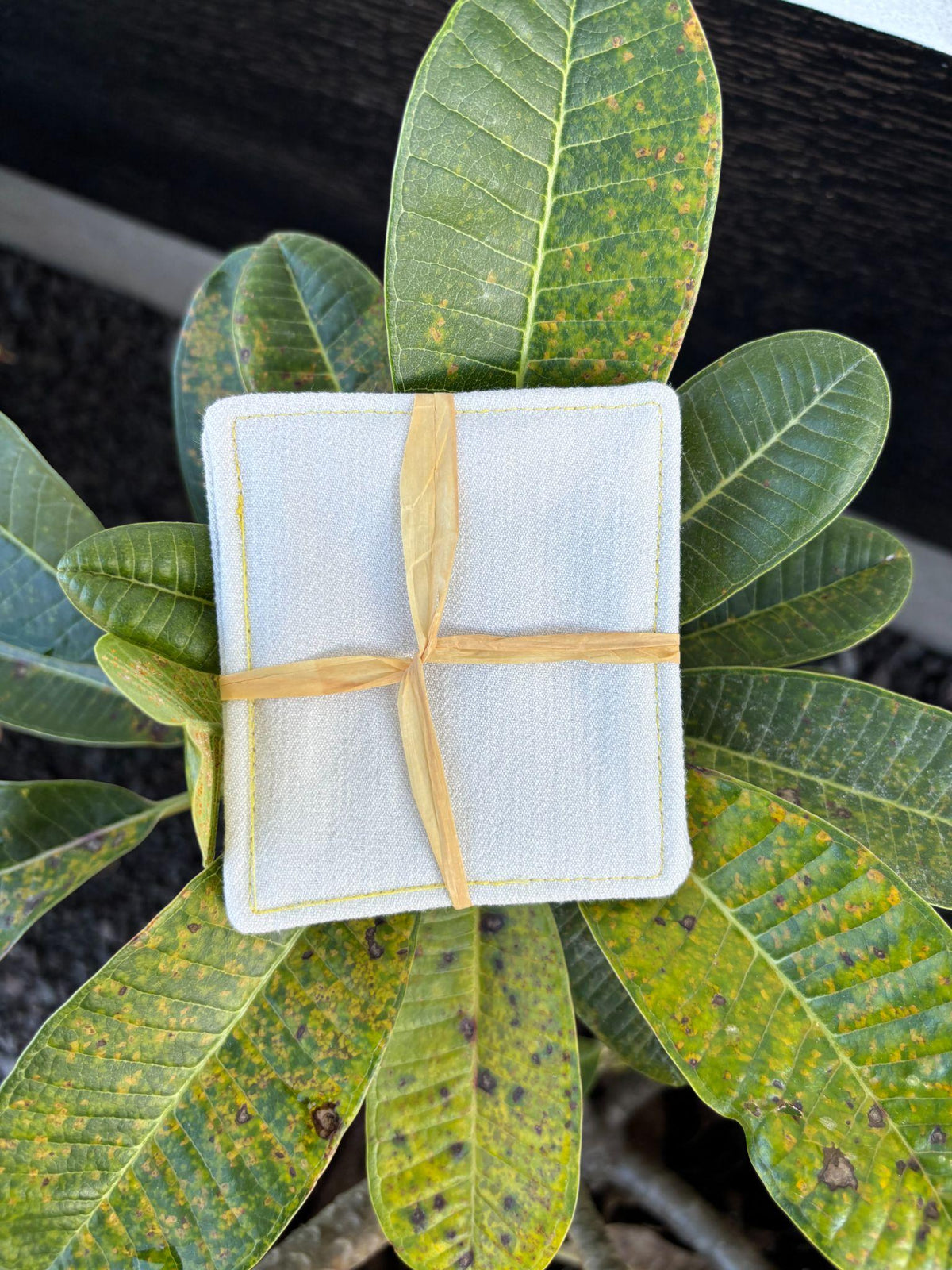Small Hand-sewn 2 Piece Coaster - Set 3